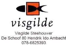 Logo Visgilde